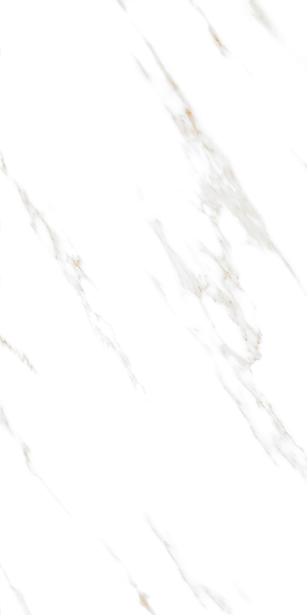 Calacatta Royal Stone Matt 60cm x 120cm 9mm