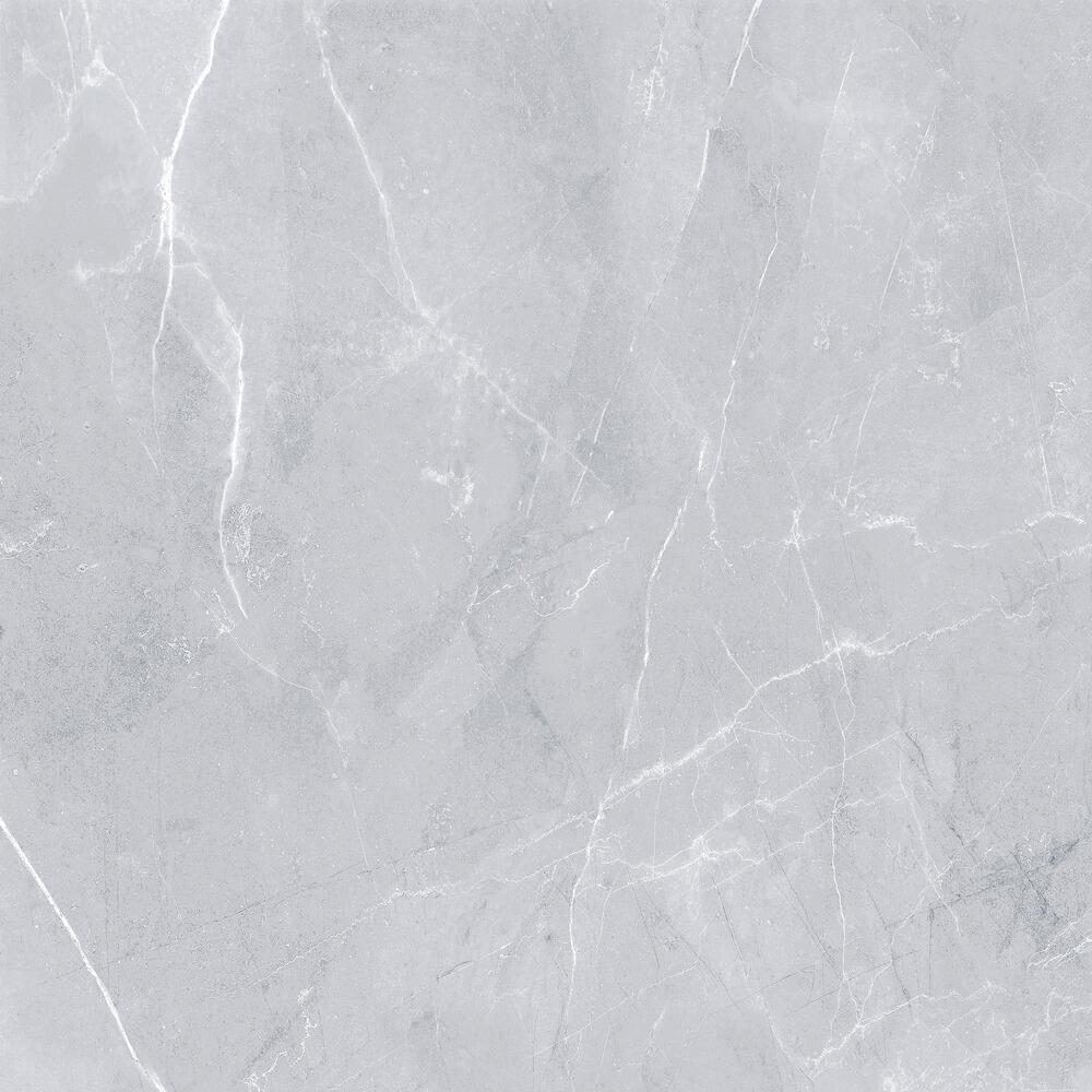 Majestic Grey Glossy 60cm x 60cm 9mm