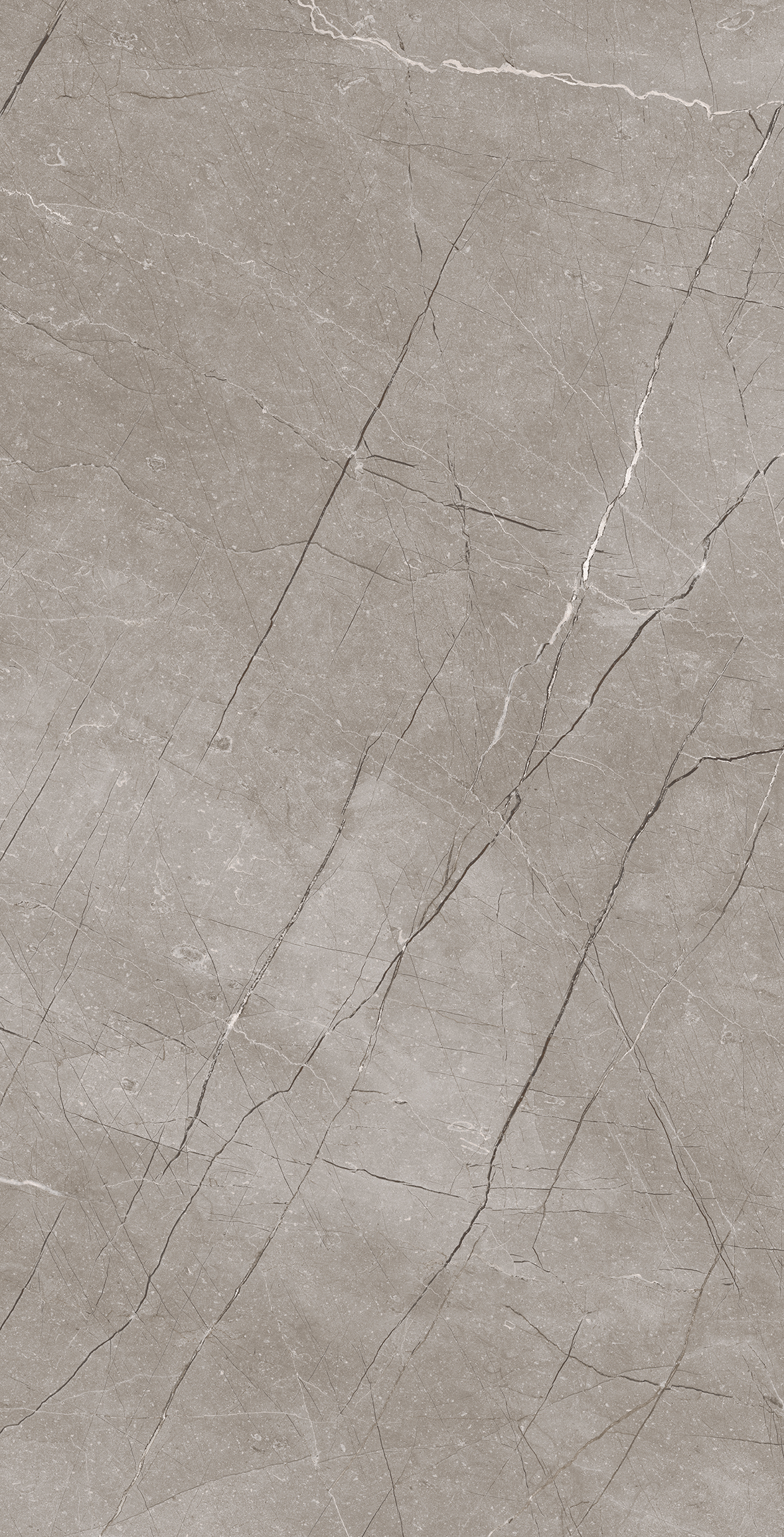 Arctic Grey Glossy 30cm x 60cm 9mm