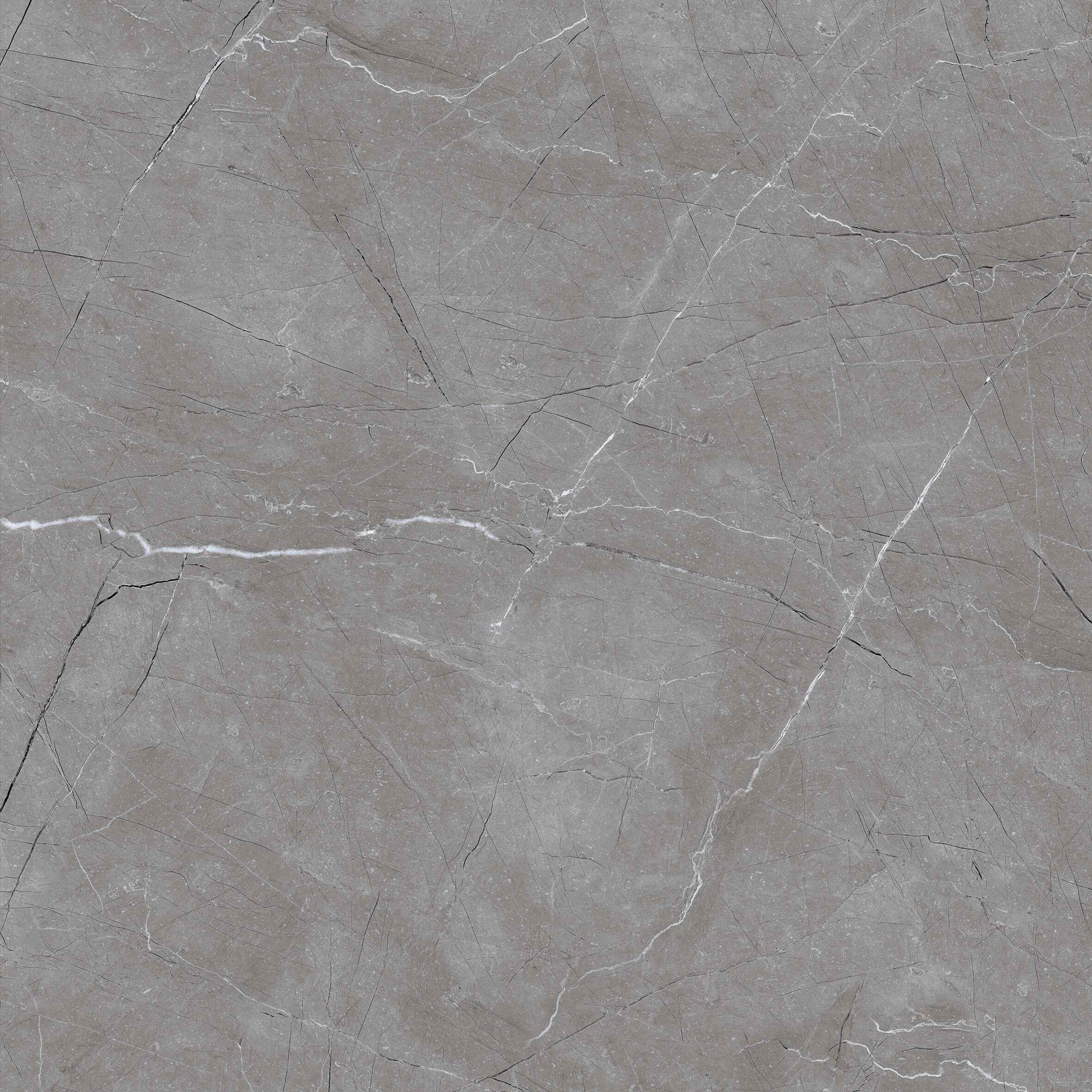 Arctic Grey Matt 60cm x 60cm 9mm