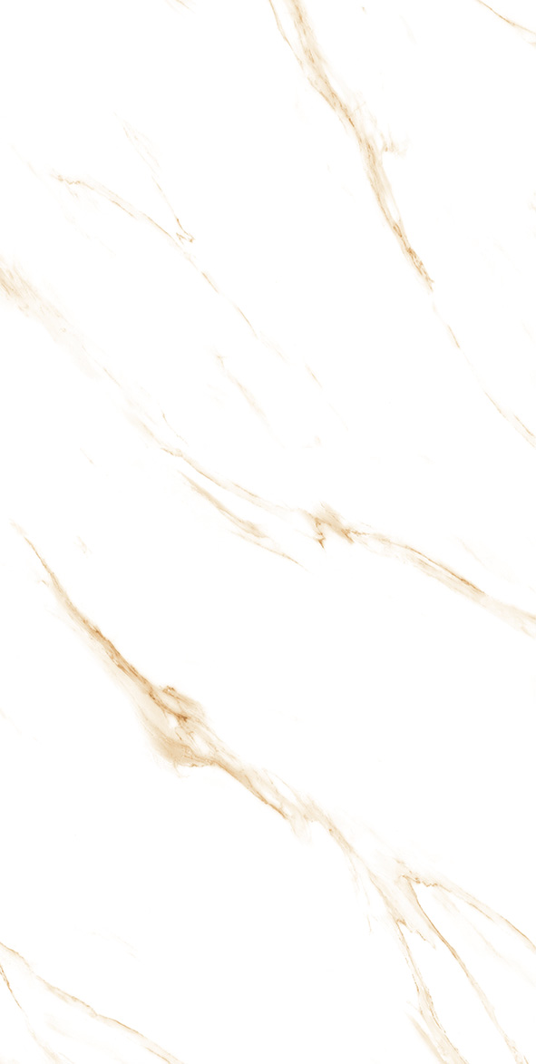 Carrara Gold Matt 60cm x 120cm 9mm