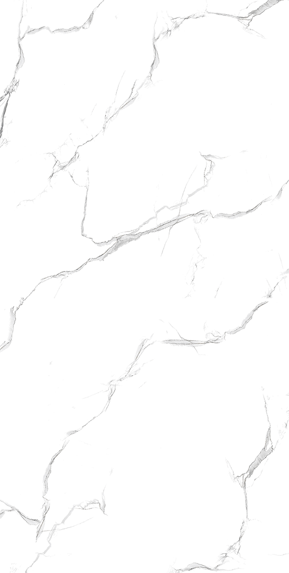 Carrara Grey Glossy 60cm x 120cm 9mm