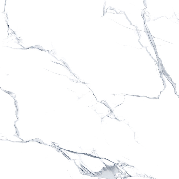 Carrara White Glossy 60cm x 60cm 9mm