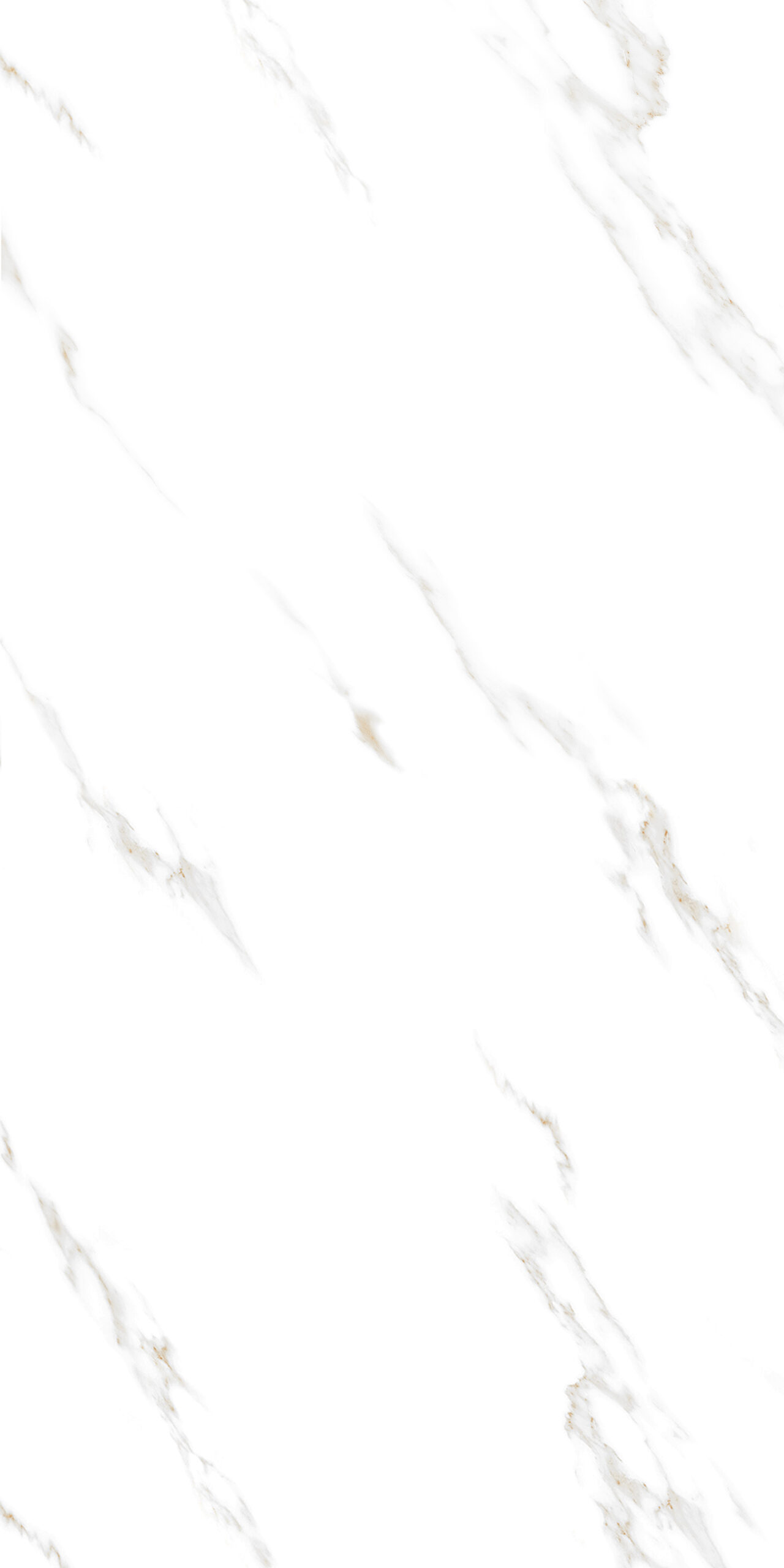 Calacatta Royal Glossy Stone 60cm x 120cm 9mm