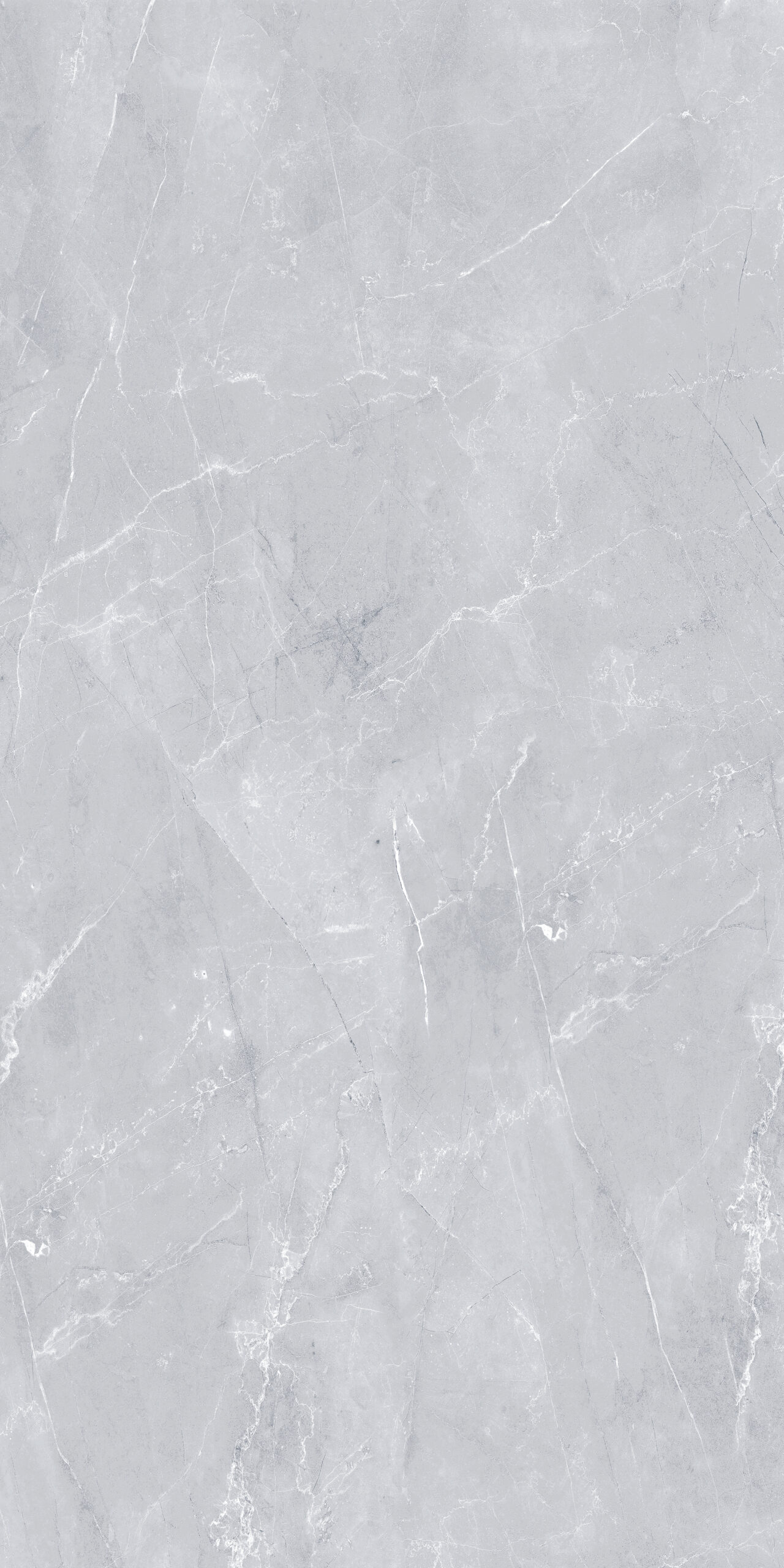 Majestic Grey Glossy 60cm x 120cm 9mm