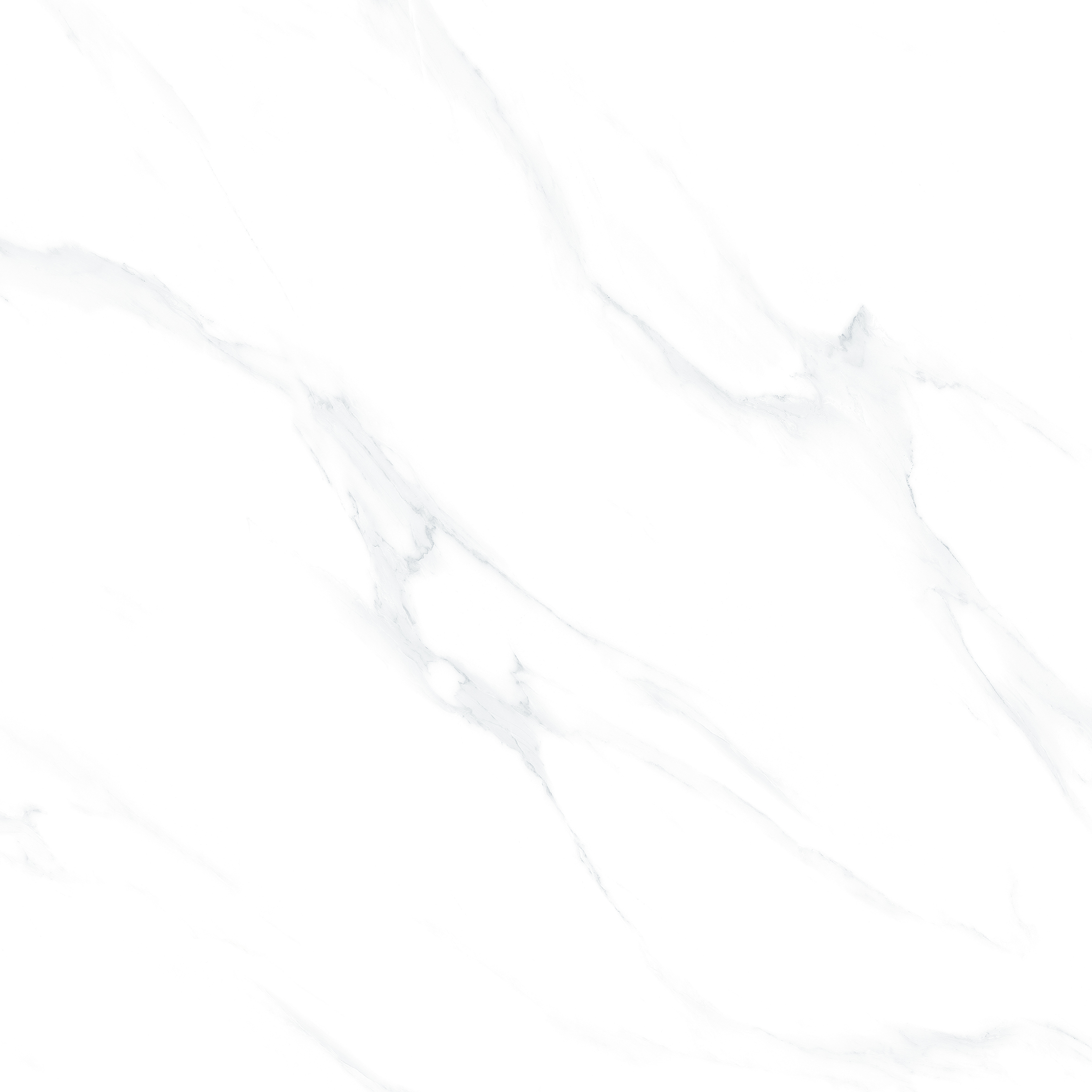 New Carrara Glossy 80cm x 80cm 9mm