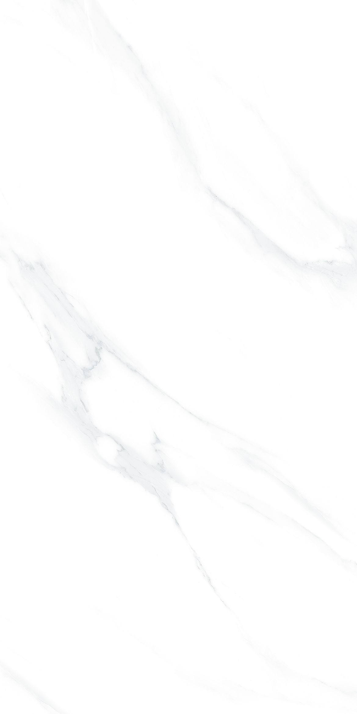 New Carrara Glossy 60cm x 120cm 9mm