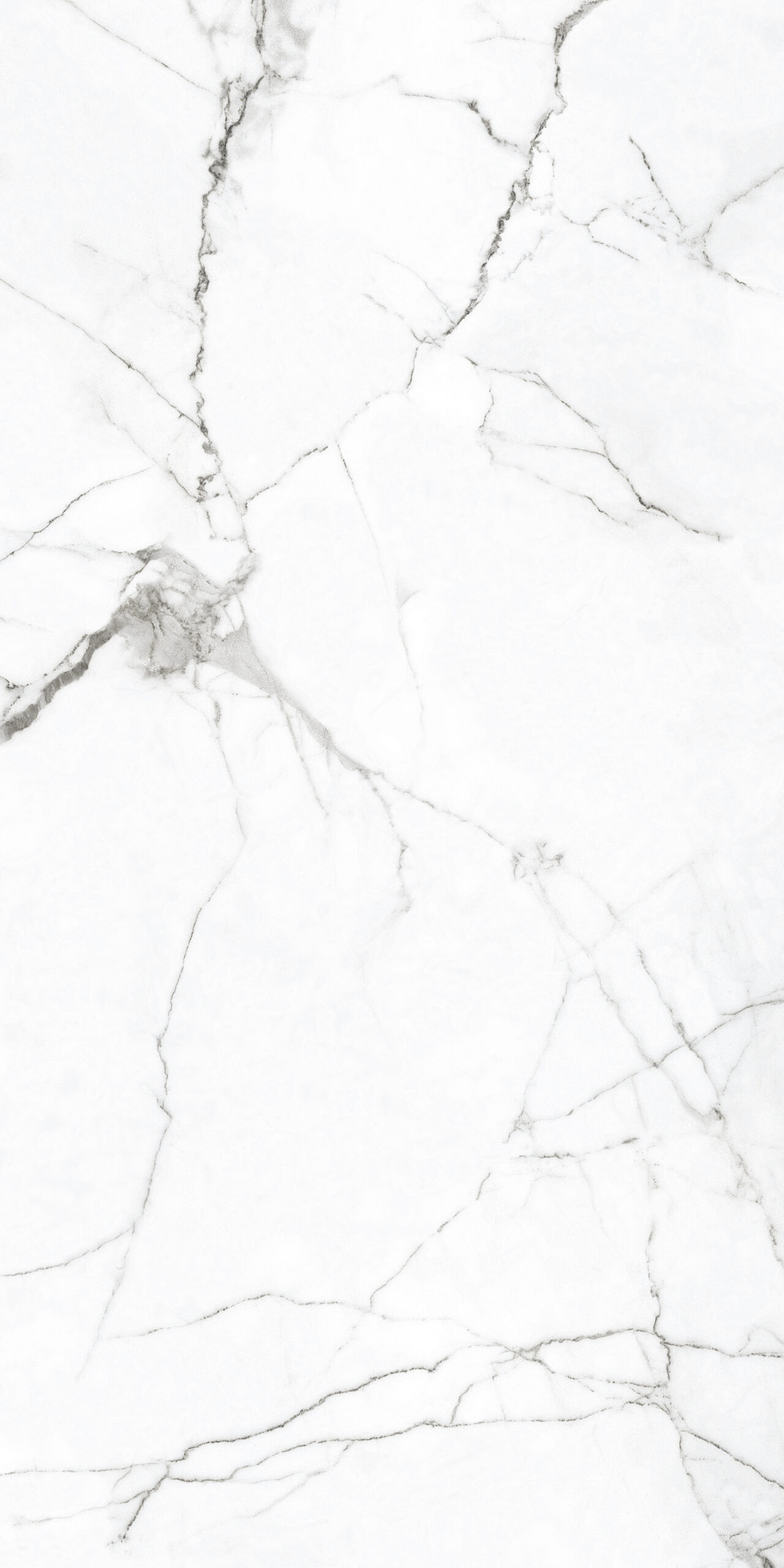 White Himalaya Glossy 60cm x 120cm 9mm