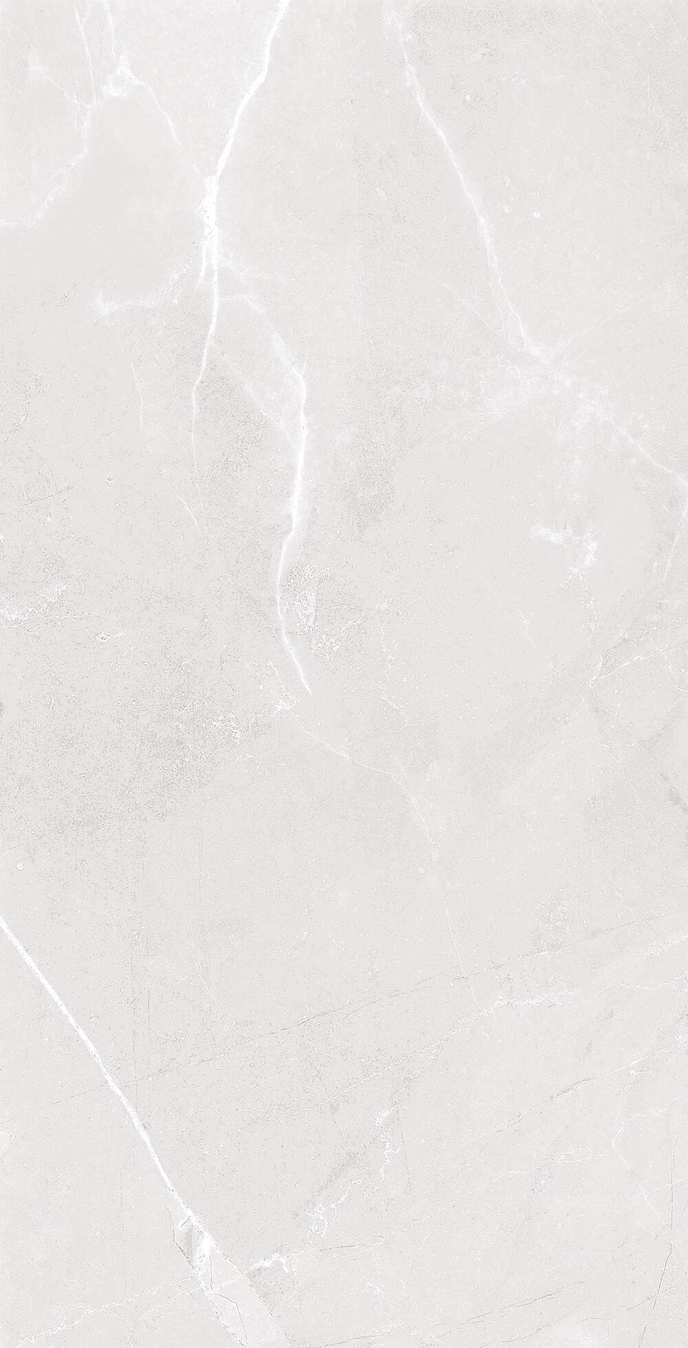 Majestic Grey Glossy 30cm x 60cm 9mm