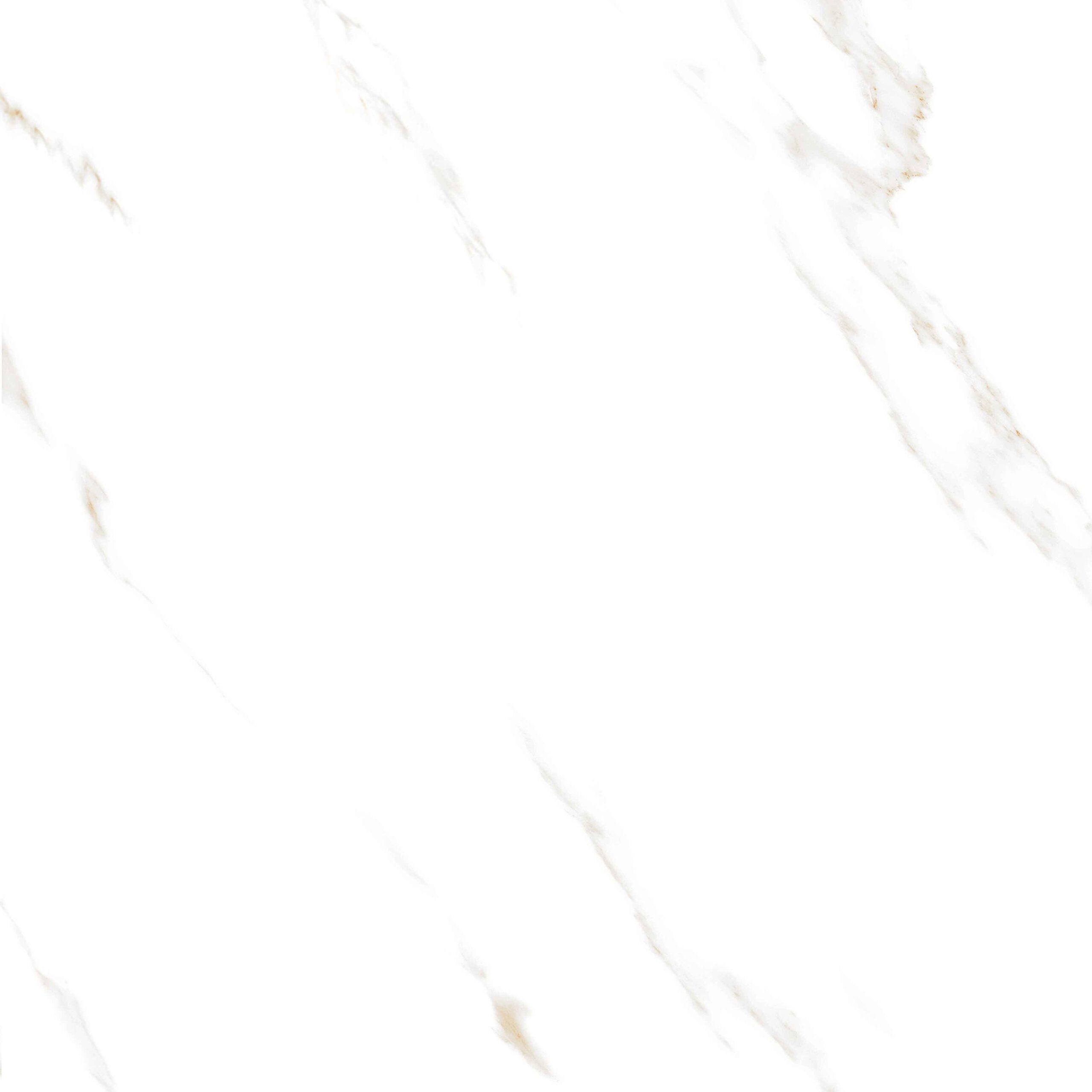 Calacatta Royal Stone Glossy 120cm x 120cm 9mm