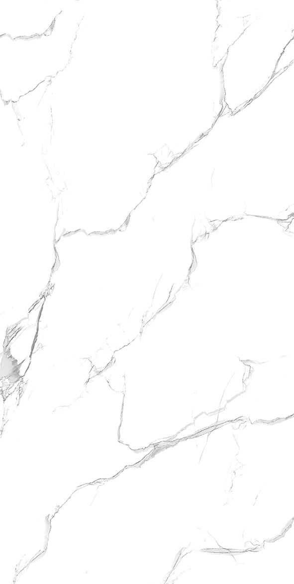 Carrara Grey Matt 60cm x 120cm 9mm