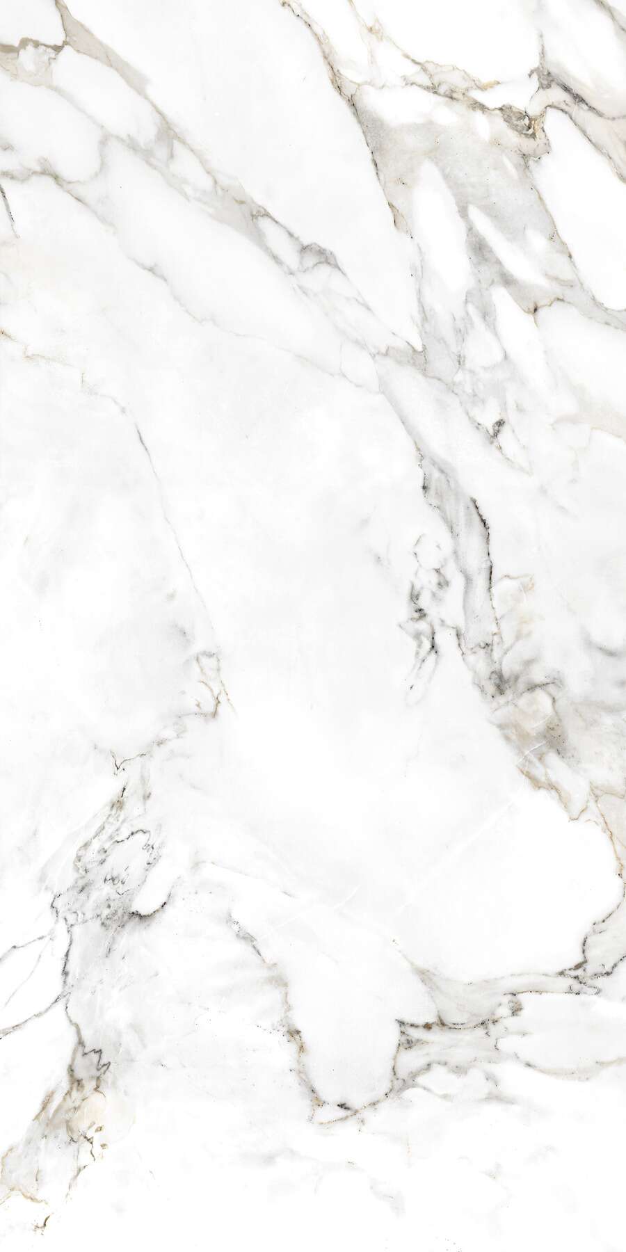 Spider carrara Glossy 60cm x 120cm 9mm