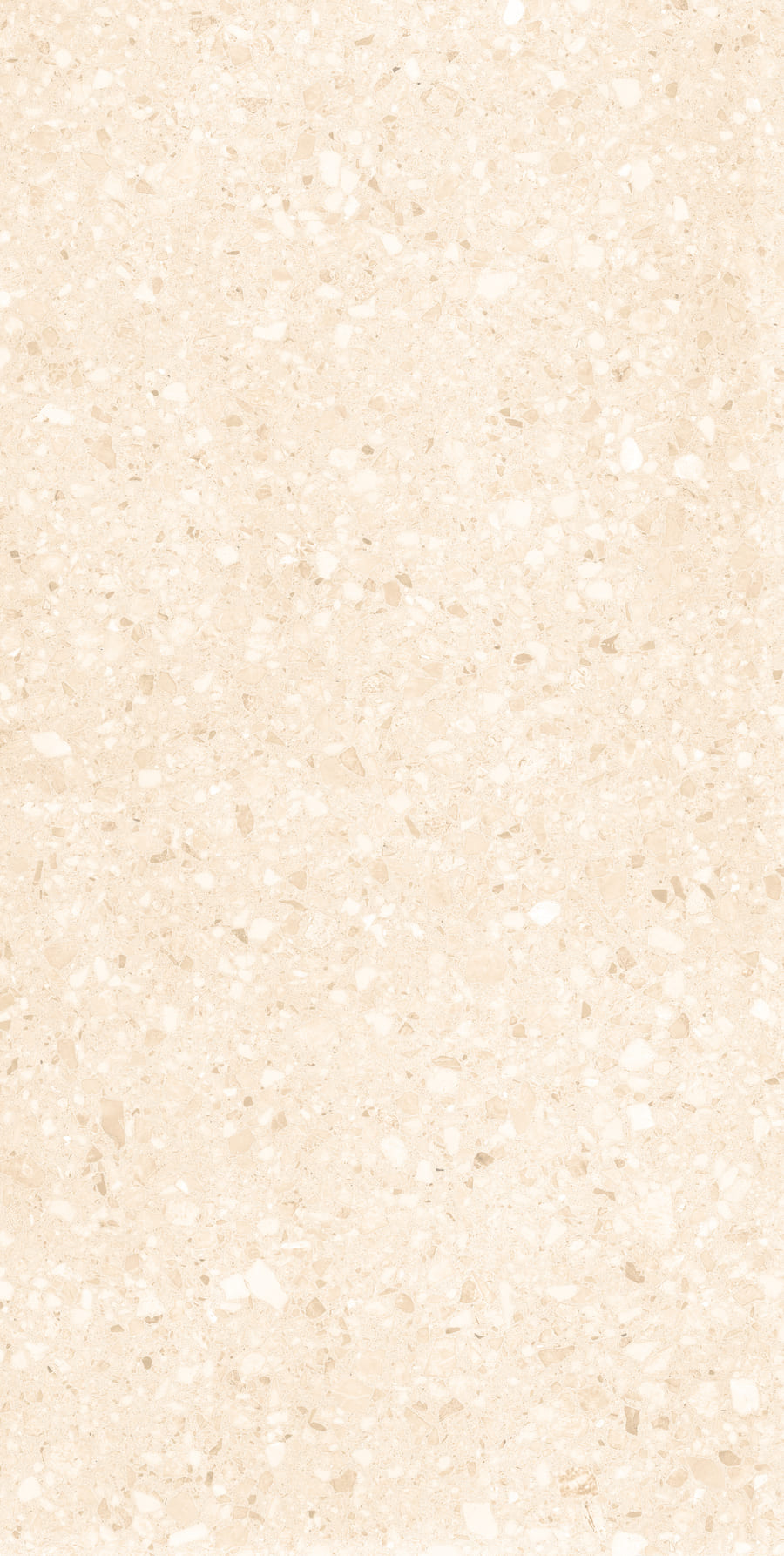Terrazo Crema Matt 60cm x 120cm 9mm
