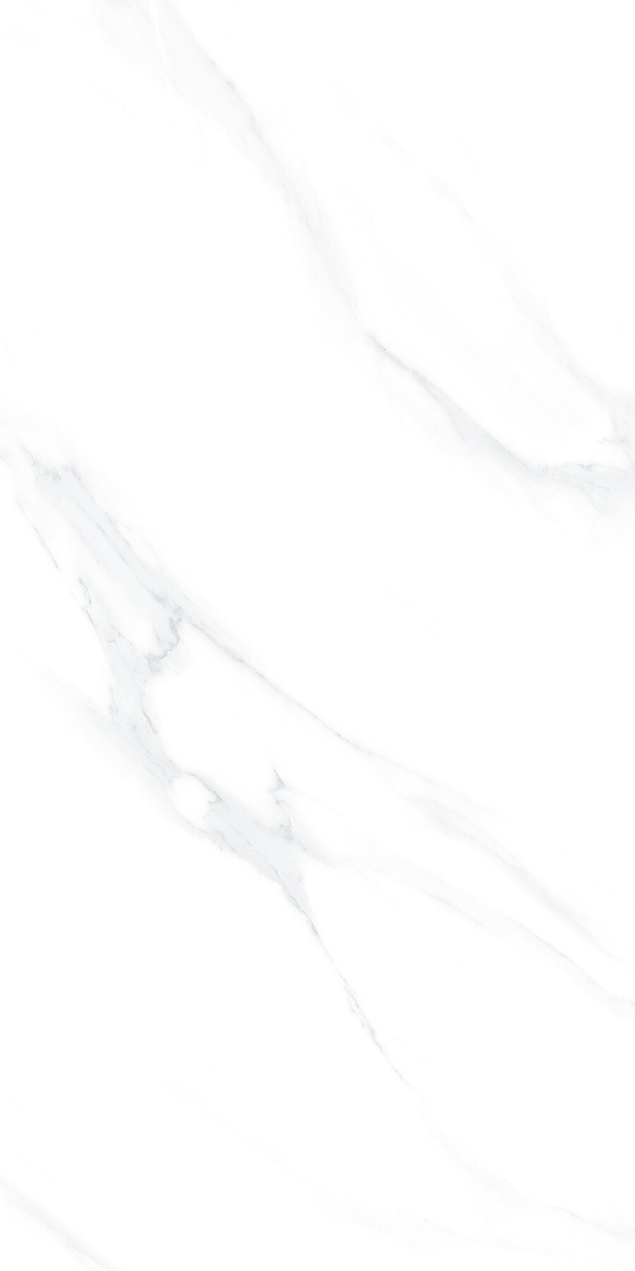 New Carrara Glossy 30cm x 60cm 9mm