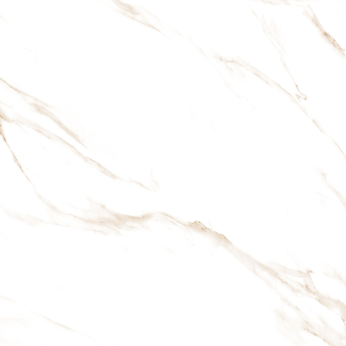 Carrara Gold Glossy 120cm x 120cm 9mm