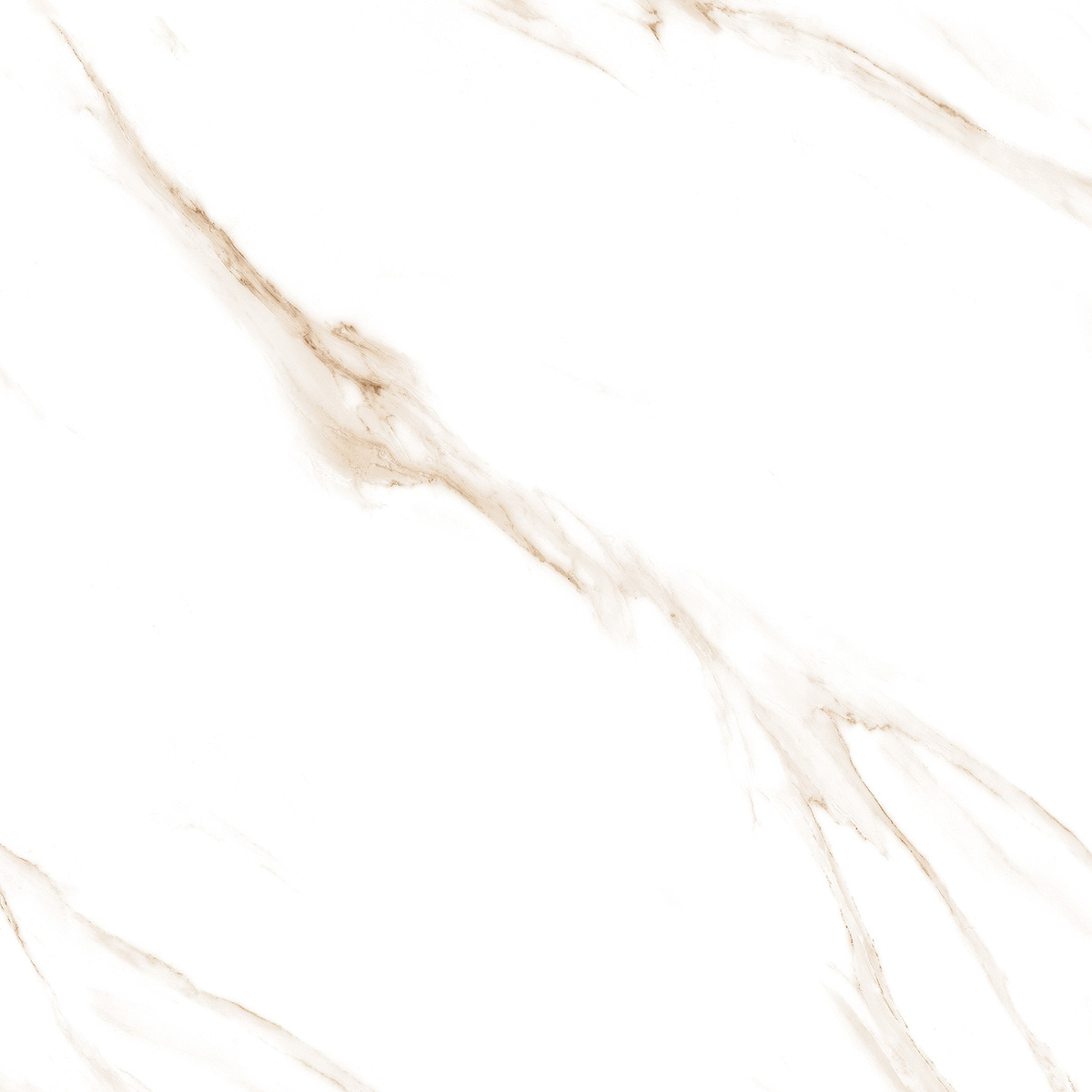Carrara Gold Glossy 120cm x 120cm 9mm