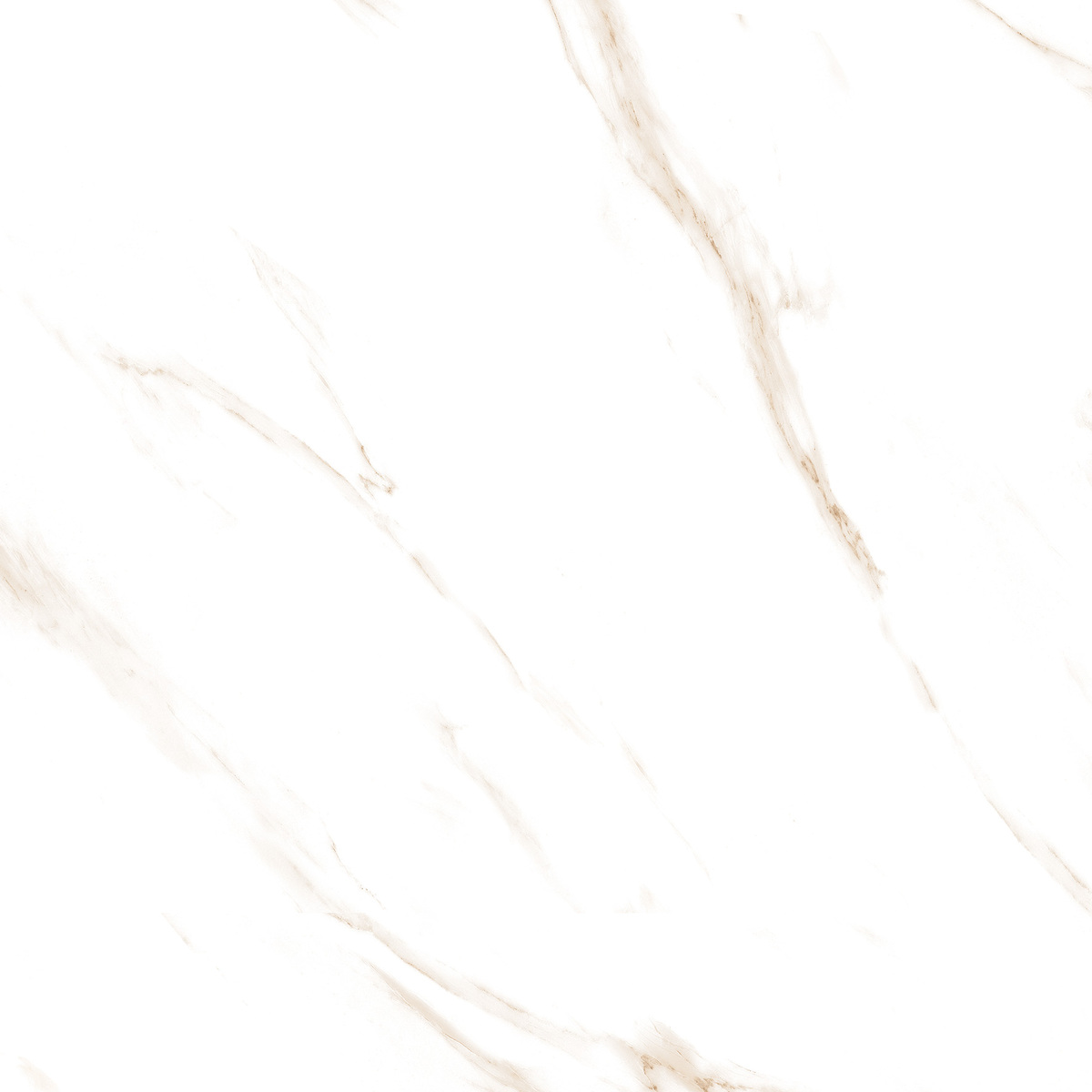 Carrara Gold Glossy 120cm x 120cm 9mm