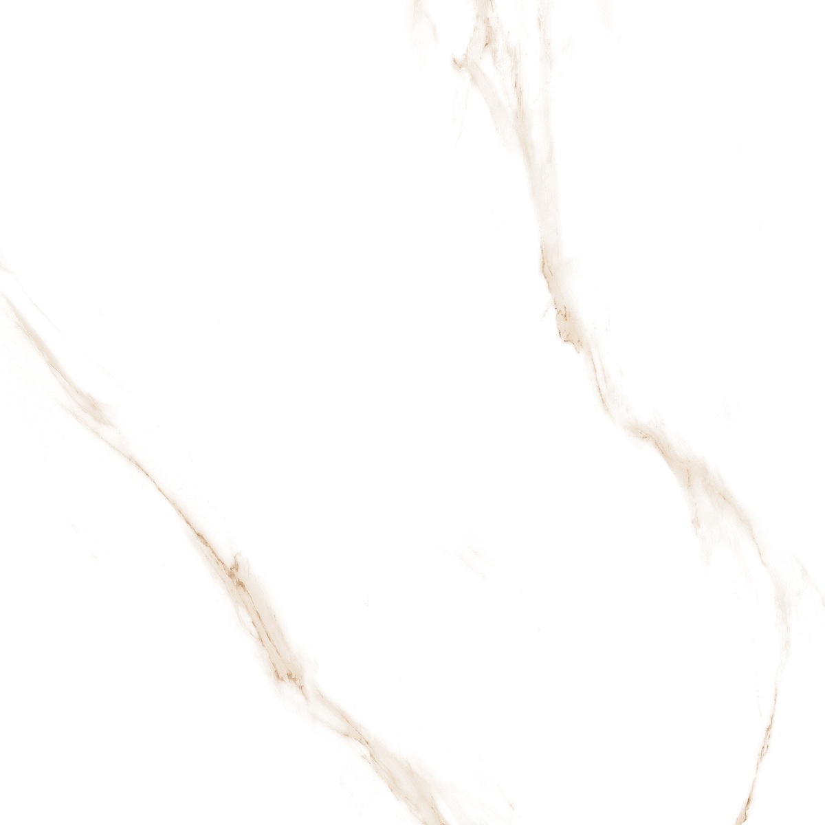 Carrara Gold Glossy 120cm x 120cm 9mm