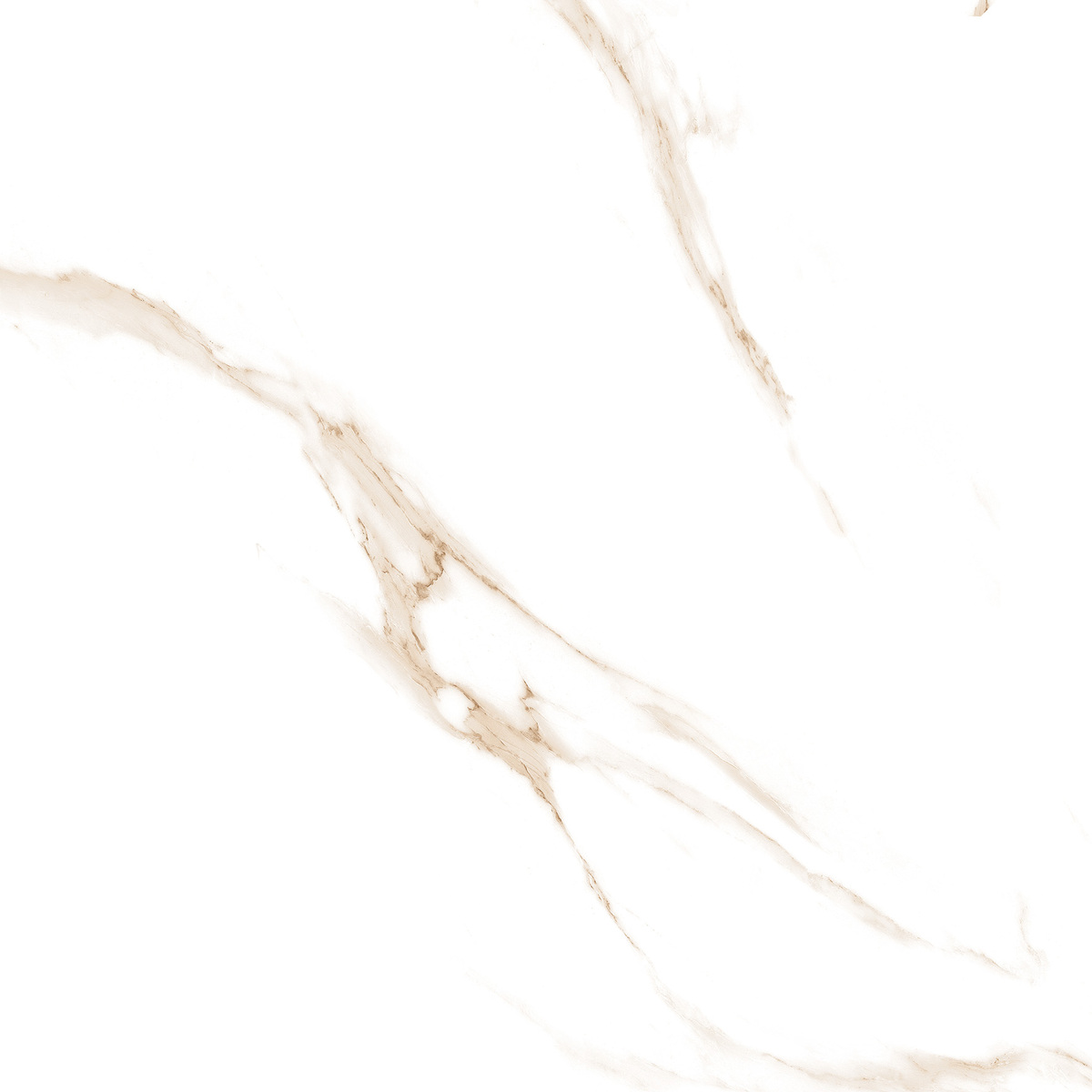 Carrara Gold Glossy 120cm x 120cm 9mm