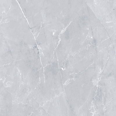 Majestic Grey Glossy 120cm x 120cm 9mm