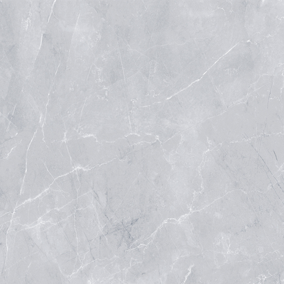 Majestic Grey Glossy 120cm x 120cm 9mm