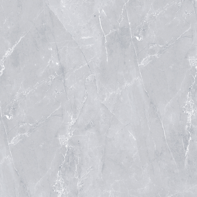 Majestic Grey Glossy 120cm x 120cm 9mm