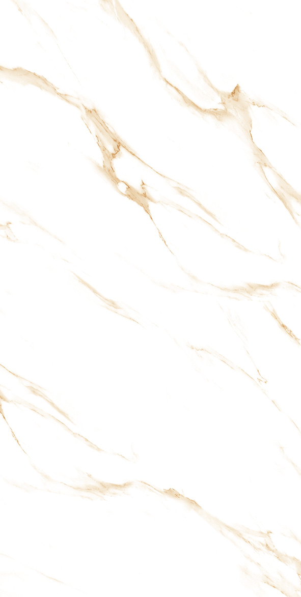 Carrara Gold Glossy 30cm x 60cm 9mm
