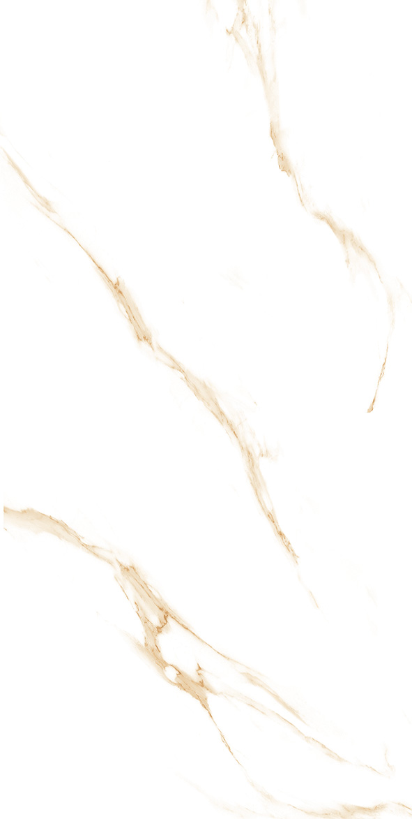 Carrara Gold Glossy 30cm x 60cm 9mm