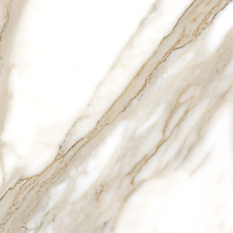 Calacatta Gold Polished 120cm x 120cm 9mm