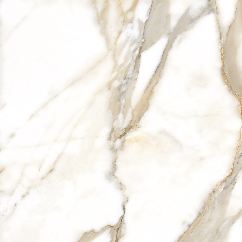 Calacatta Gold Polished 120cm x 120cm 9mm