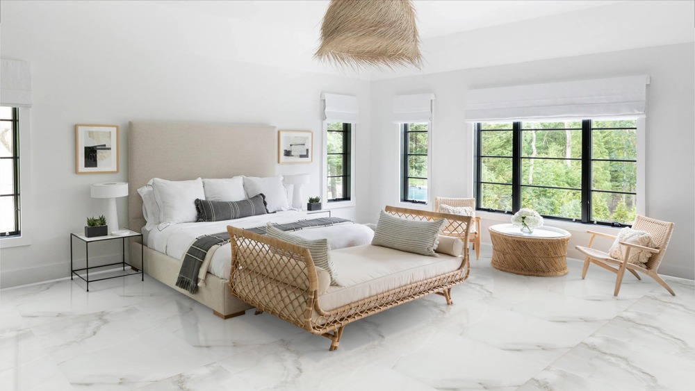 Fenix Gris Polished 60cm x 120cm 9mm