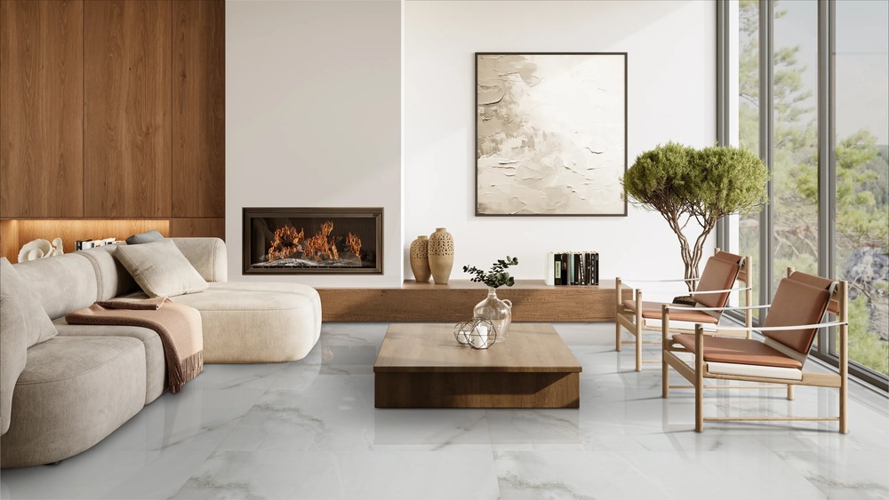 Fenix Gris Polished 60cm x 120cm 9mm