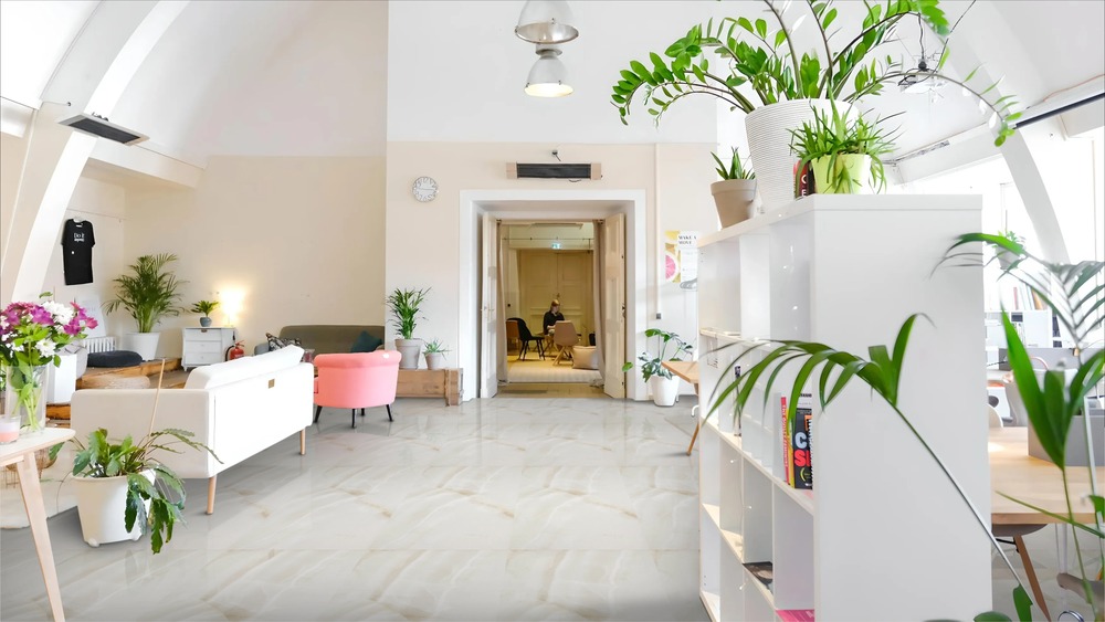 Fenix Perla Polished 60cm x 120cm 9mm